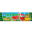 Suika Watermelon Chewing Gum